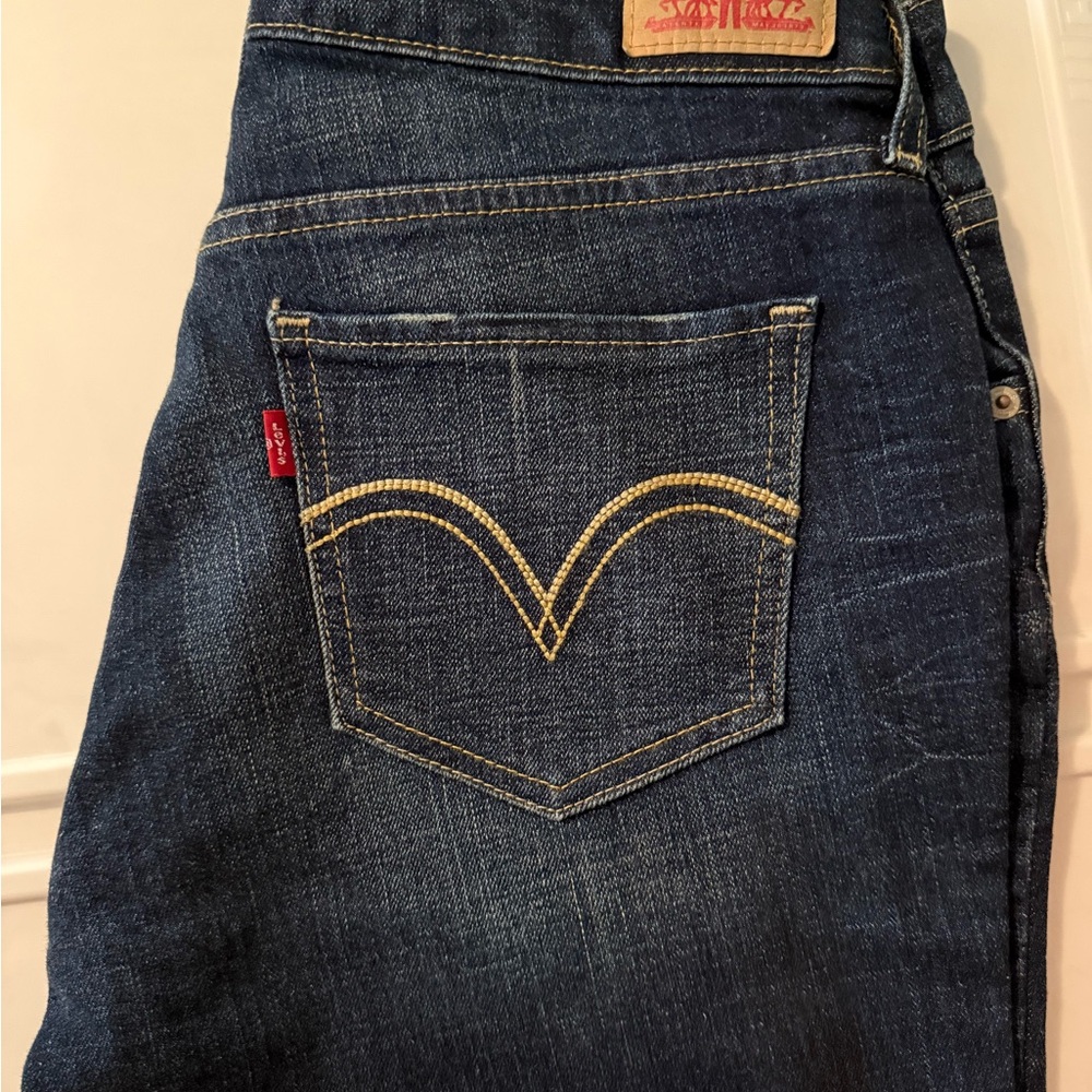 Levi's Blue Jeggings with Premium Denim